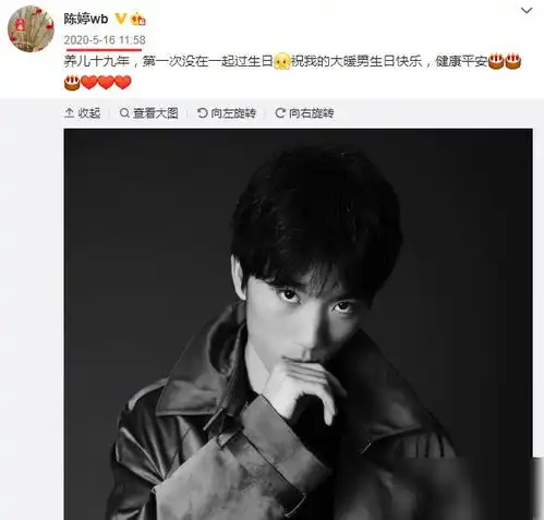 张艺谋儿子20岁生日,陈婷晒照为其庆生,20岁张壹男五官神似爸爸
