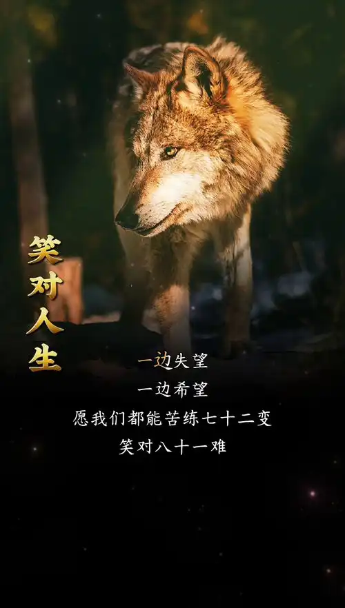 励志正能量男人成长强者思维
