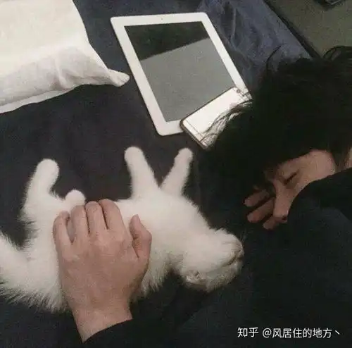 有没有抱猫的男生头像