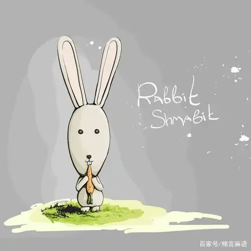 属兔的和什么属相最配最合适呢

