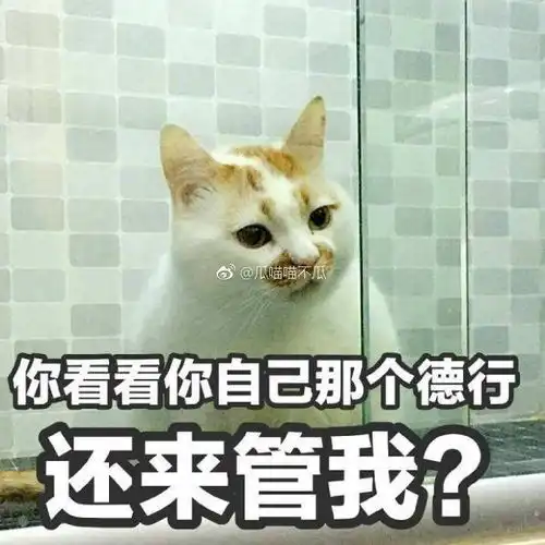 春节把猫粮水猫砂准备好让猫咪自己在家呆四五天可以吗

