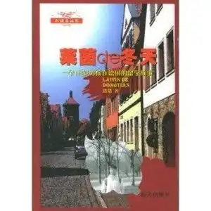 莱茵de冬天一个18岁男孩在德国的留学故事
