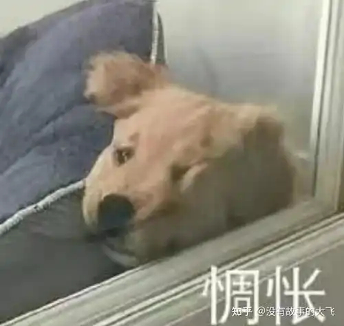 25岁男生至今单身,未来找对象是不是越来越困难了