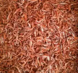 被广东人带火的7大美食,全部具有极高营养价值,你吃过吗
