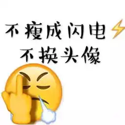 不瘦十斤,不换头像

