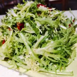 烤博士东北烧烤骡马市店的凉拌苦菊好不好吃用户评价口味怎么样西安美食凉拌苦菊实拍图片大众点评
