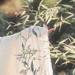 男生在相亲的时候怎么主动苏州我主良缘建议先学这些
