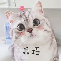 奇葩说有哪些超级经典的句子
