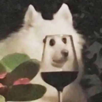 逗比微信头像搞笑图片微信奇葩逗比搞笑头像大全
