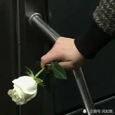 近期你们听过最元气满满的句子是什么呀
