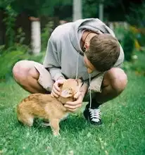 交朋友,就要找养狗的人
