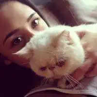 高清二次元抱猫头像微信头像图片大全
