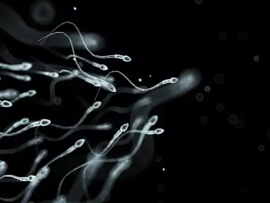 西方男性精子数40年下降52,这份健康攻略快收好
