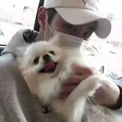 幽默个性签名大全失败的唯一原因是专注被打破了
