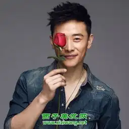 罗晋短发发型图片示范男生帅气短发打理
