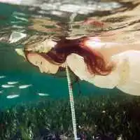 水下微信图片大全微信头像图片大全
