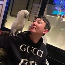 王思聪头像换成花千芳网友表示这可是大张伟和吴秀波都没有的待遇
