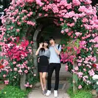 抱着孩子的情侣头像杭州
