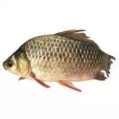 气虚不足,无力体乏,家常食物就能补
