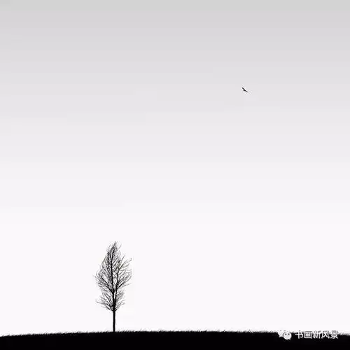 一组极简黑白摄影
