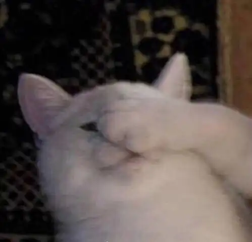 第446波喜欢和爱是不一样的
