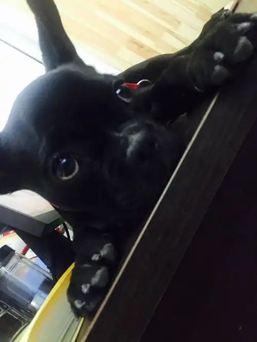 征水瓶女一枚天平男
