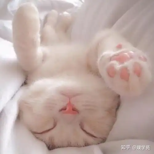 生日书星星王子陪你过生日9月3日9月9日
