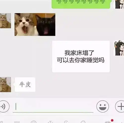 我家床榻了,可以去你家睡觉吗看看直男都是怎么回答的
