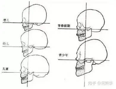 青春期男性的面相骨相和皮相变化有哪些

