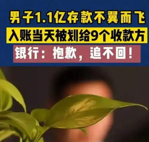 青岛男子拆迁获得1.1亿存款不久,银行全部转走,银行帮你还款
