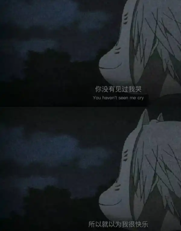 这个有狐狸面具的男人是谁呀
