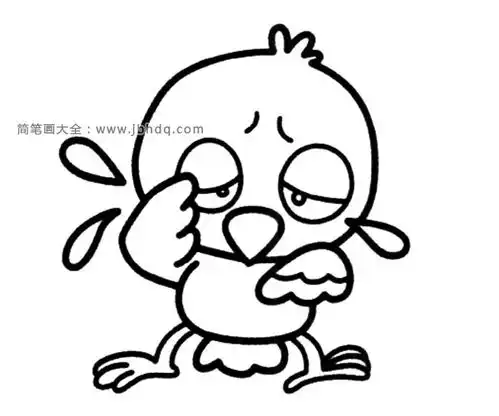 哭泣的小鸡简笔画图片
