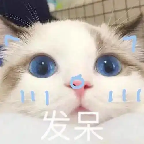 6.java的jdbc编程
