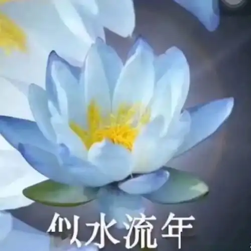 秋天的第一杯感冒灵,晓晓送你
