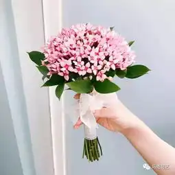 手捧8大系,再也不用为捧花配色而烦恼
