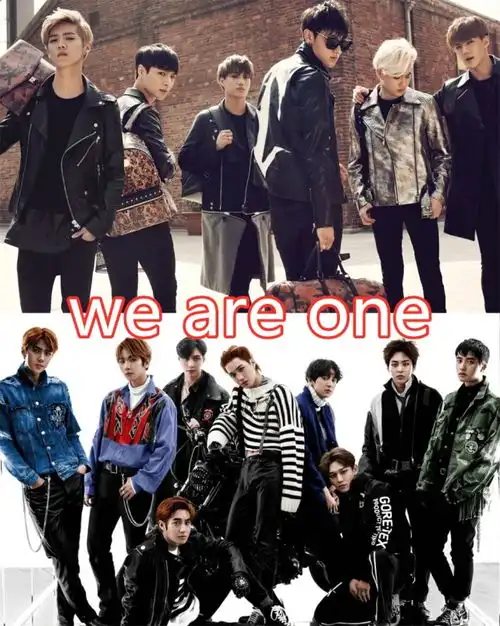 男团应援口号曝光exo霸气,npc顺口,看到tf感动哭
