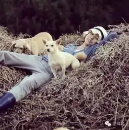 亚洲性感女神下嫁丑男,她会成为下一个马蓉
