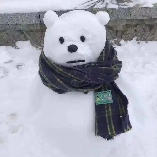 臭宝该换情侣头像啦
