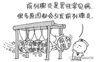 一分钟教你看懂前列腺液检查报告
