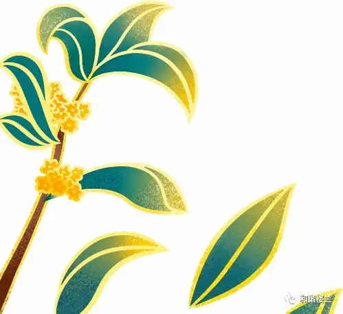 若羌镇男性健康日让我们一同关爱他健康
