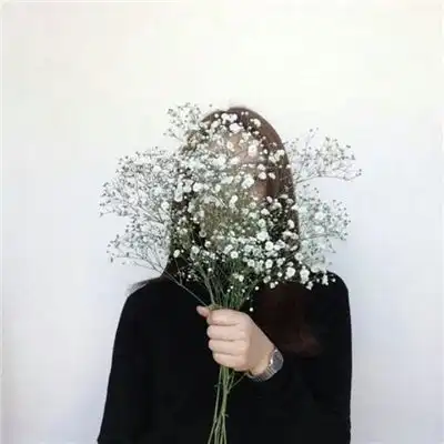 女生手捧满天星头像唯美漂亮2018安静就好何必自寻烦恼
