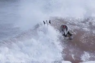 全世界的优秀网友是怎样欢乐度过他们的假期的
