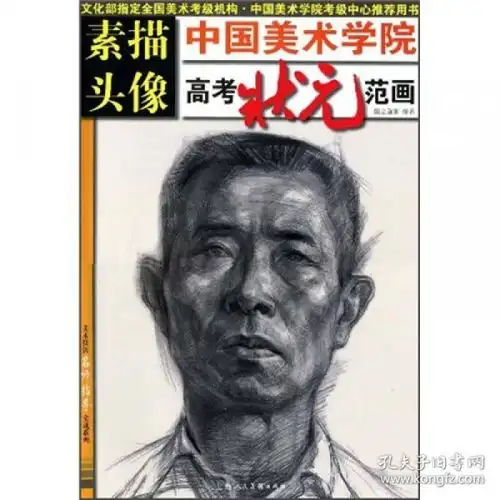 美术技法名师指导实战系列中国美术学院高考状元范画
