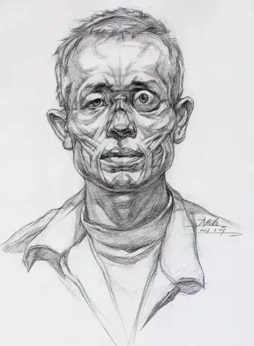 老年男人素描结构头像
