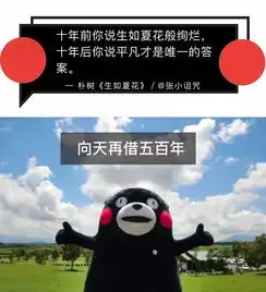独家福利看贱萌的熊本熊如何神回复网易云音乐的扎心评论
