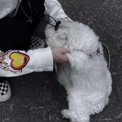 温柔抱猫部位闺蜜头遇到那么多女生头像我要个性网
