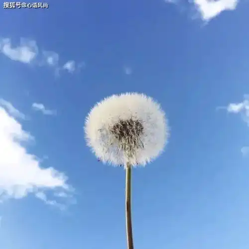 心态,决定你的一生
