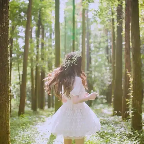 明年能发财能结婚的生肖
