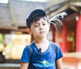 原来已经有17个男萌娃来过爸爸去哪儿
