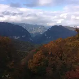 目的地点评移动版
